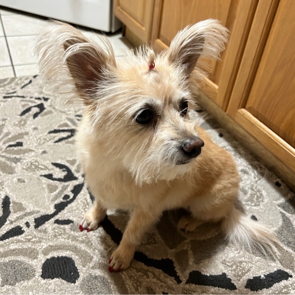 I'M NAYLEA, YOUR POSHER!π₯°π©΅ποΈ - Picture 2 of 4